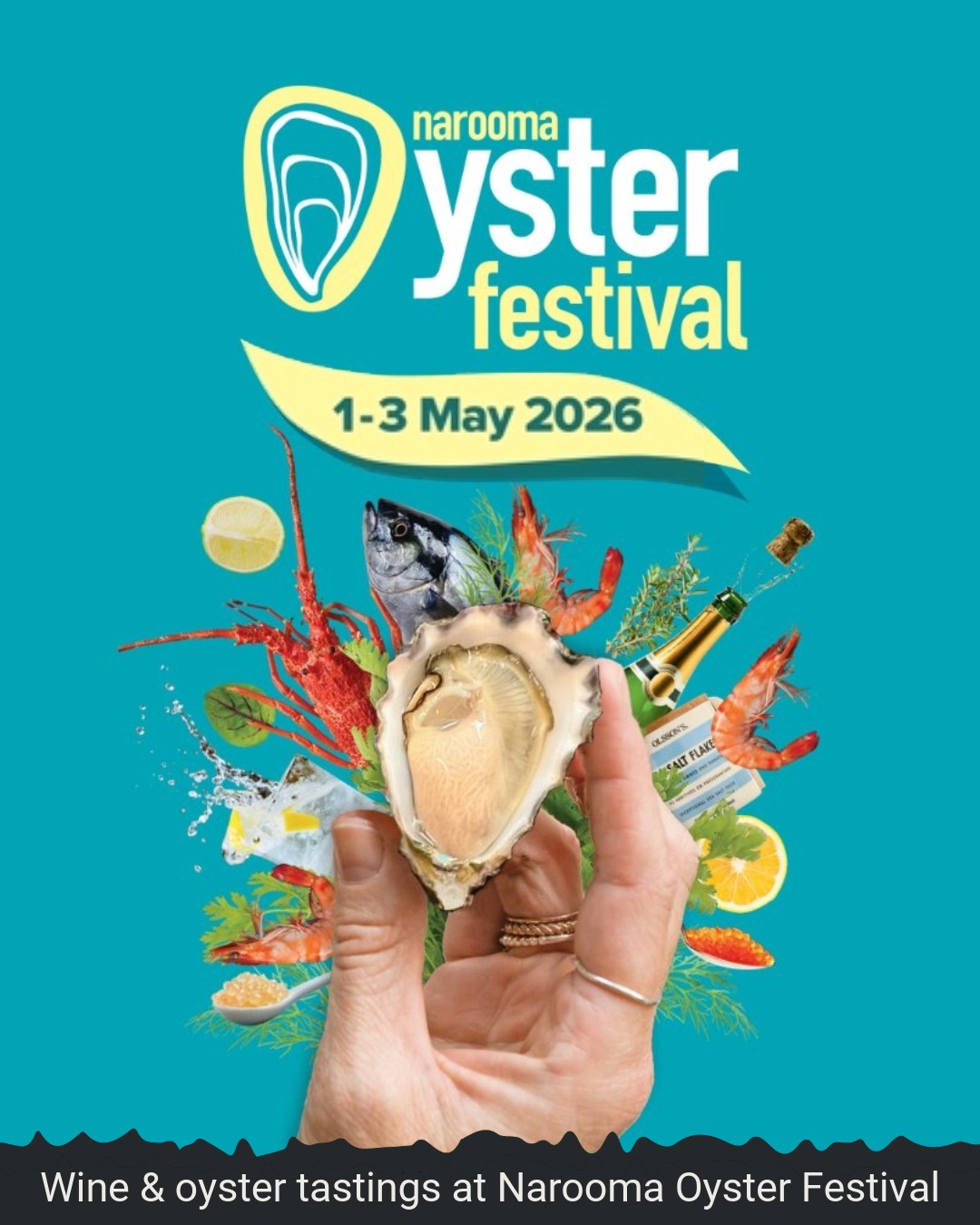 Narooma Oyster Festival 2026 Social Tile