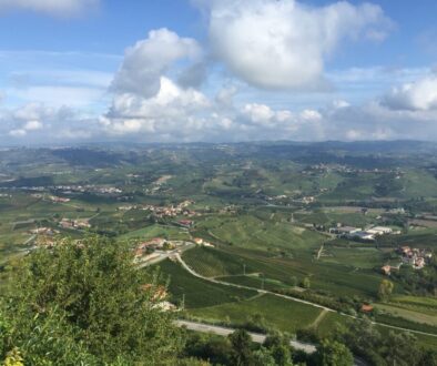 An image looking over European winegrowing appellations on a blue sky day