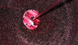 Minimal Intervention Shiraz