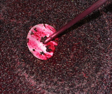 Minimal Intervention Shiraz