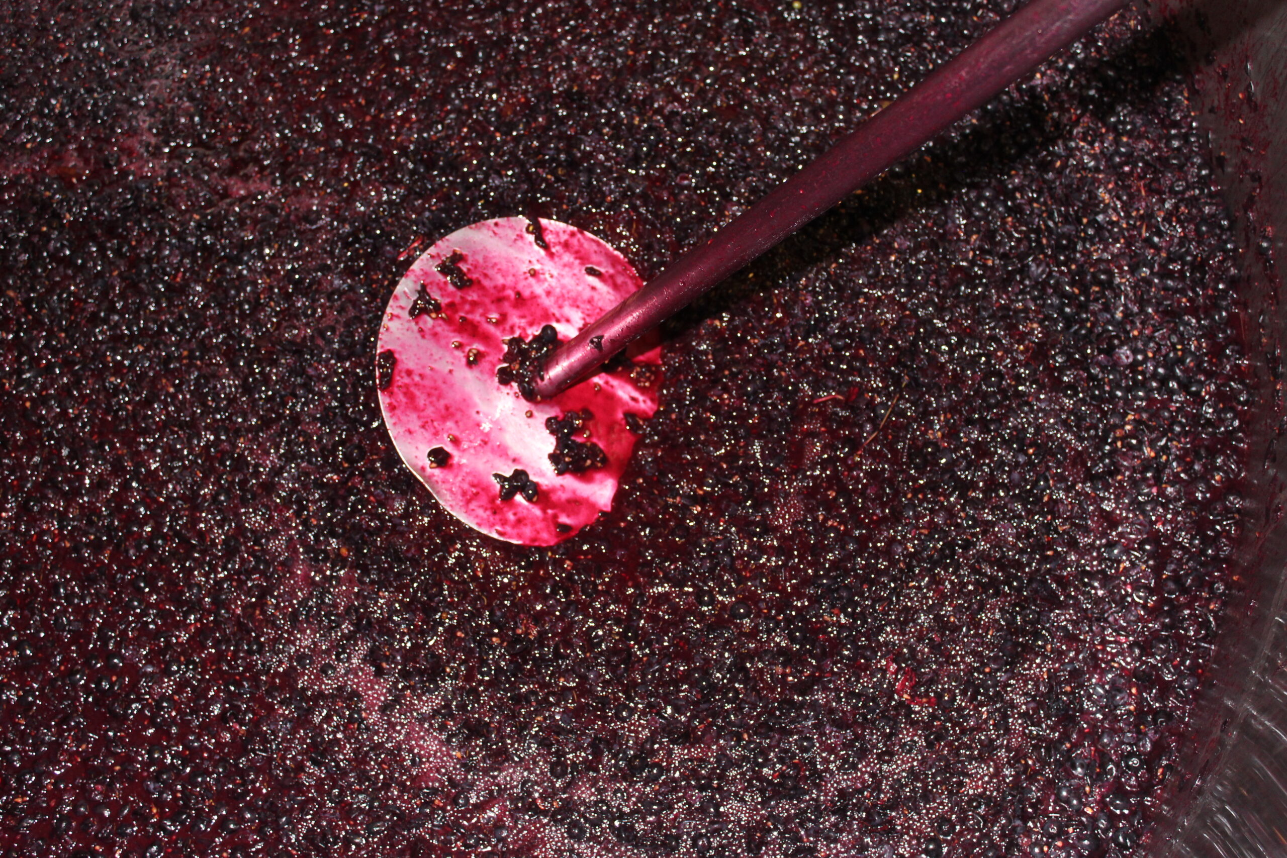 Minimal Intervention Shiraz